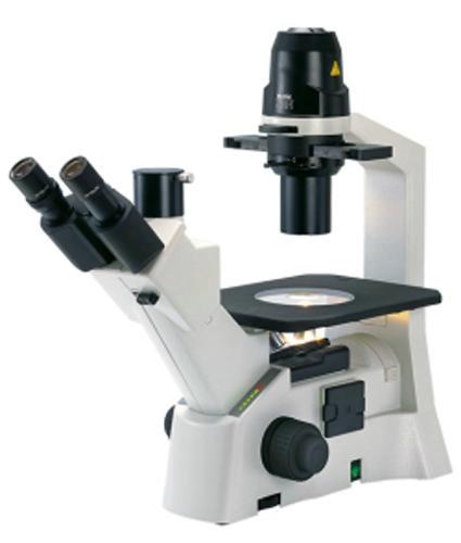 Инвертированный микроскоп Motic AE 30/31