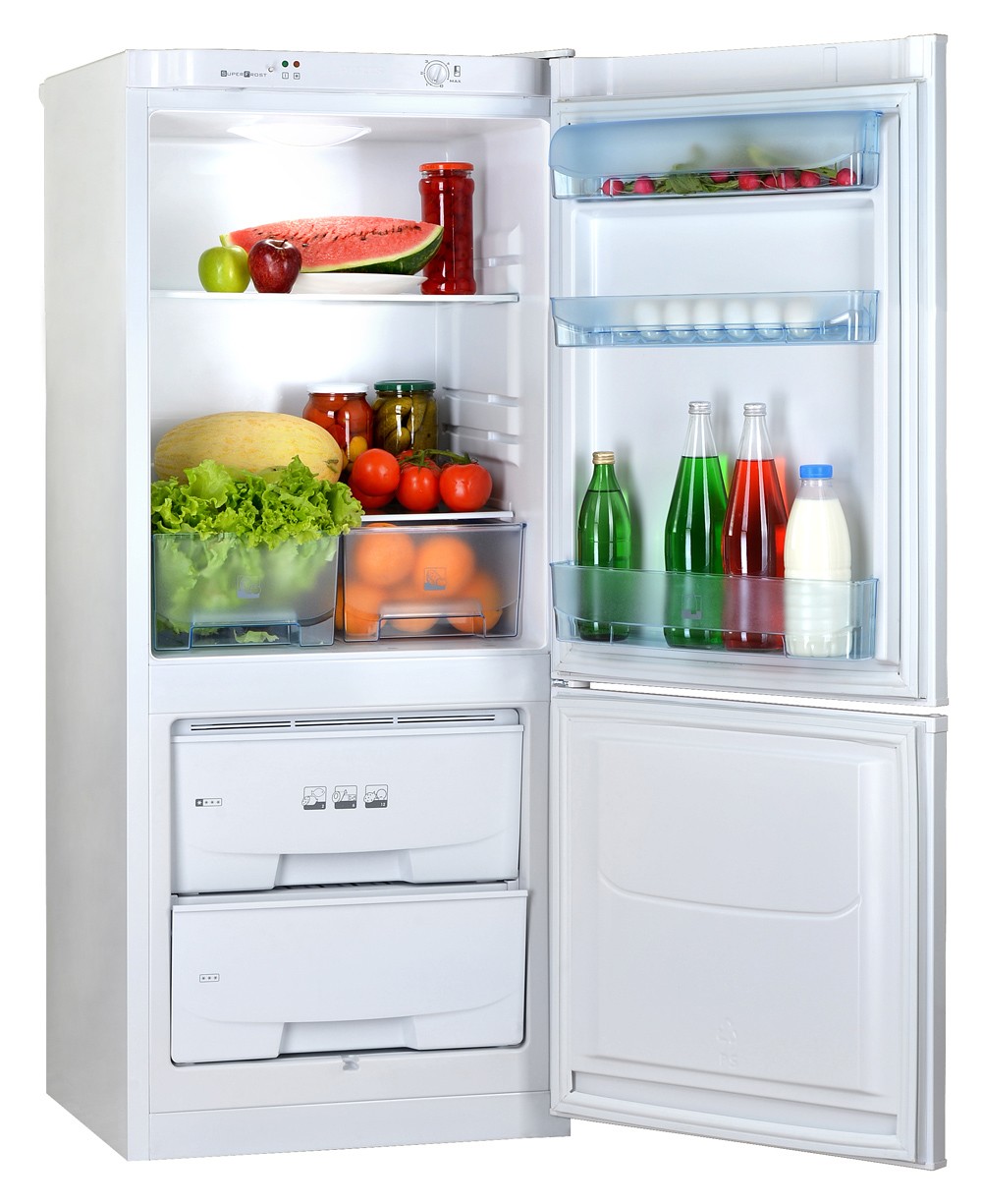 Холодильник двухкамерный POZIS RK-101 (170/80 л)